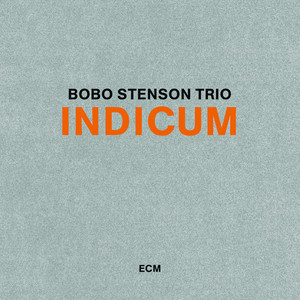 Indicum cover