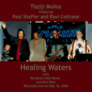 Healing Waters (feat. Paul Shaffer and Ravi Coltrane) album