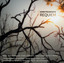 Frandsen: Requiem Albumcover