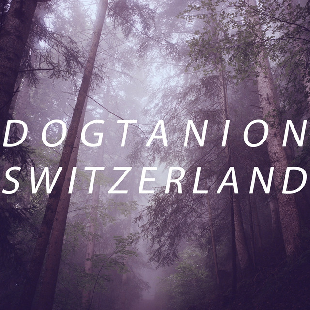 Dogtanion Photo