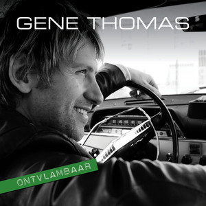 Ontvlambaar (DB) cover