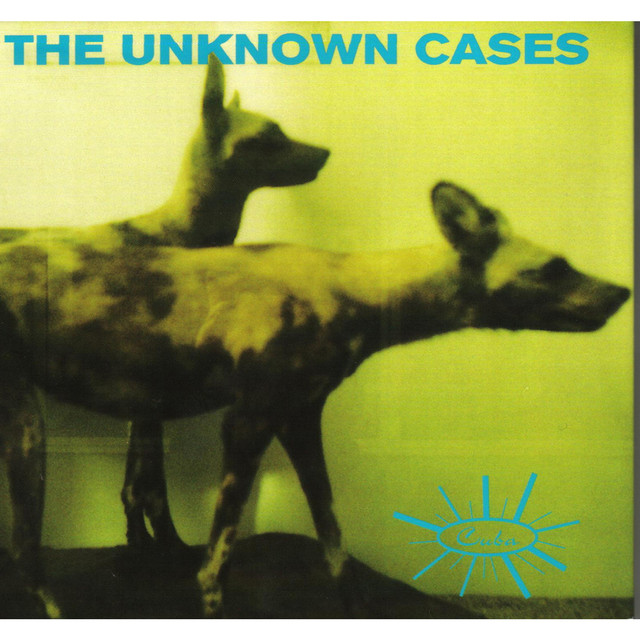 The Unknown Cases Photo
