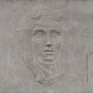 Schicksalsfahrt cover