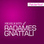 Highlights Of Radames Gnattali Albumcover