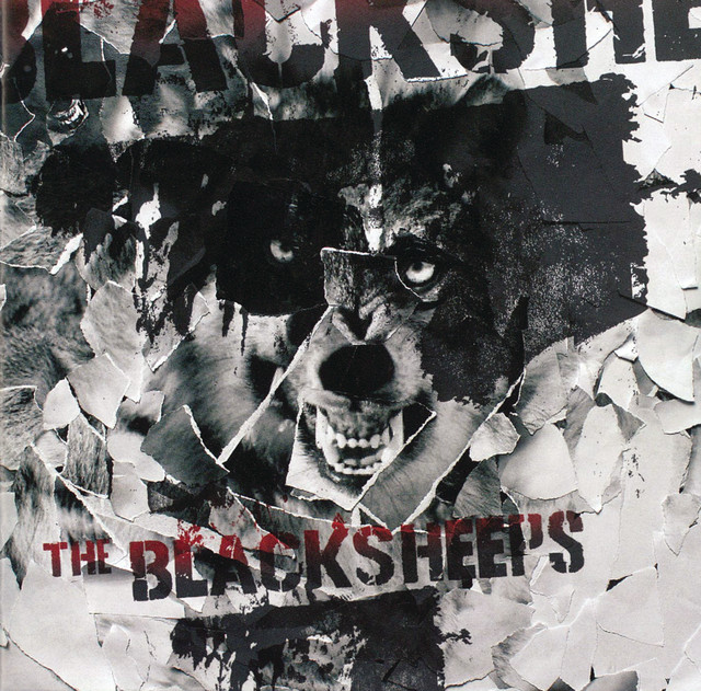 The BlackSheeps Photo
