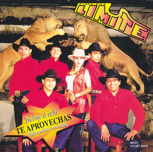 Esta vez cover