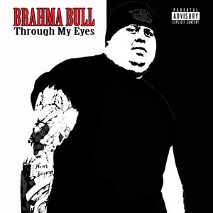 Brahma Bull