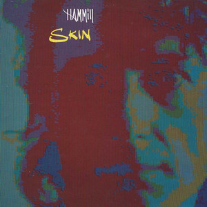 Skin album