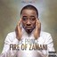 Fire of Zamani Albumcover