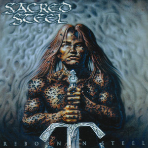 Reborn in Steel cover