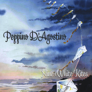Nine White Kites cover