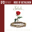 Rose of Bethlehem (Performance Track Album) cover
