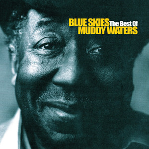 Blue Skies - The Best Of Muddy Waters album