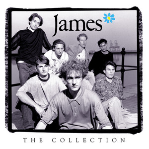 The Collection cover