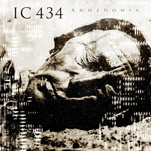Anhedonia cover