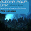 Buddha Aqua Bar Albumcover