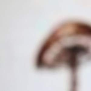 For / Not for John Cage cover