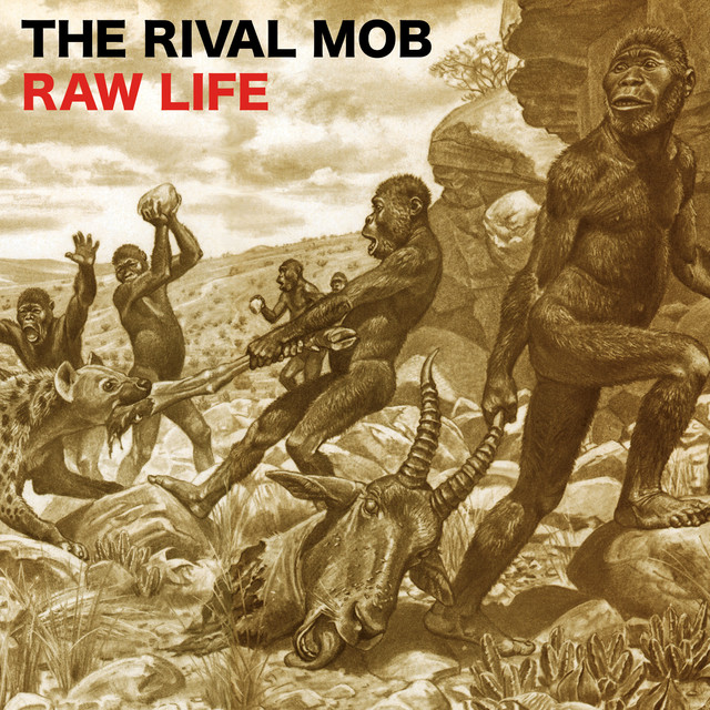 Raw Life cover