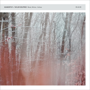 Wood, Winter, Hollow cover