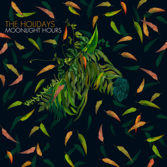 Moonlight Hours cover