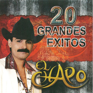 20 Grandes Exitos album
