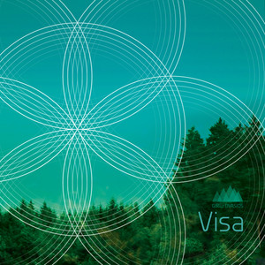 Visa cover