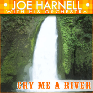 Cry Me A River cover