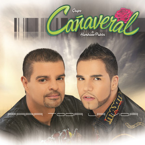 Para Toda La Vida cover