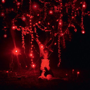 The Danger of Light (Deluxe Edition) cover