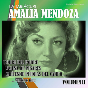 Amalia Mendoza, Vol. 2 album