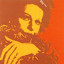 Dettagli cover