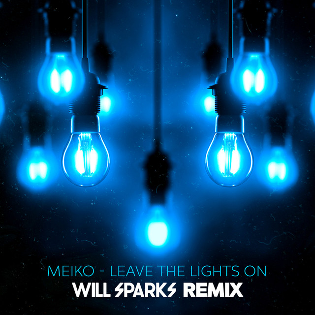 Leave The Lights On (will Sparks Remix) cover