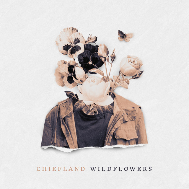 Musik Album 'Wildflowers'