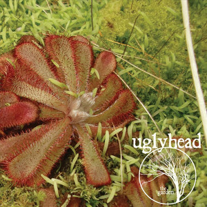 The Garden Albumcover