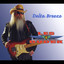 Delta Breeze cover