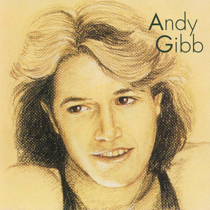 Andy Gibb cover