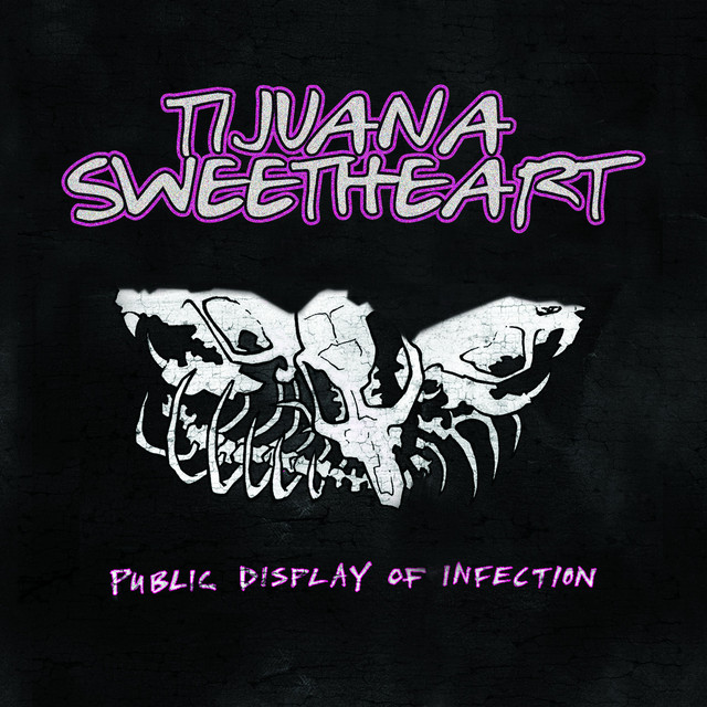 Public Display Of Infection cover