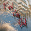 Pain of Recovery - Single Albumcover