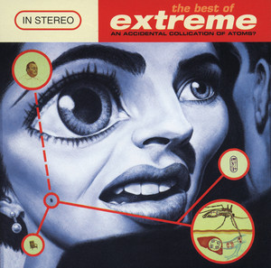 The Best Of Extreme (An Accidental Collication Of Atoms) album