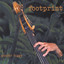 Footprint Albumcover