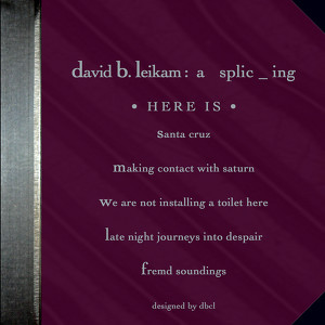 David Leikam