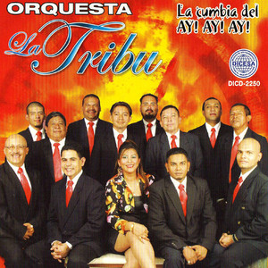 Orquesta La Tribu poster