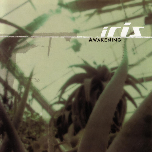 Awakening cover