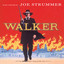 Walker cover
