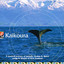 Kaikoura Albumcover