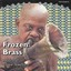 Frozen Brass - Africa & Latin America Albumcover