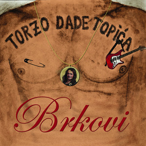 Torzo Dade Topića cover