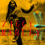 Dragonfly cover