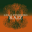 Raiz cover