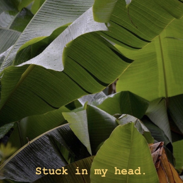 Stuck in My Head